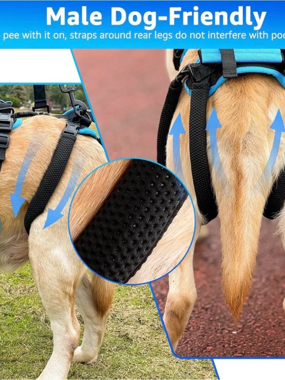 Lafoty Dog Lift Harness For Male Dogs (Medium, Black) 563/DC-3:v